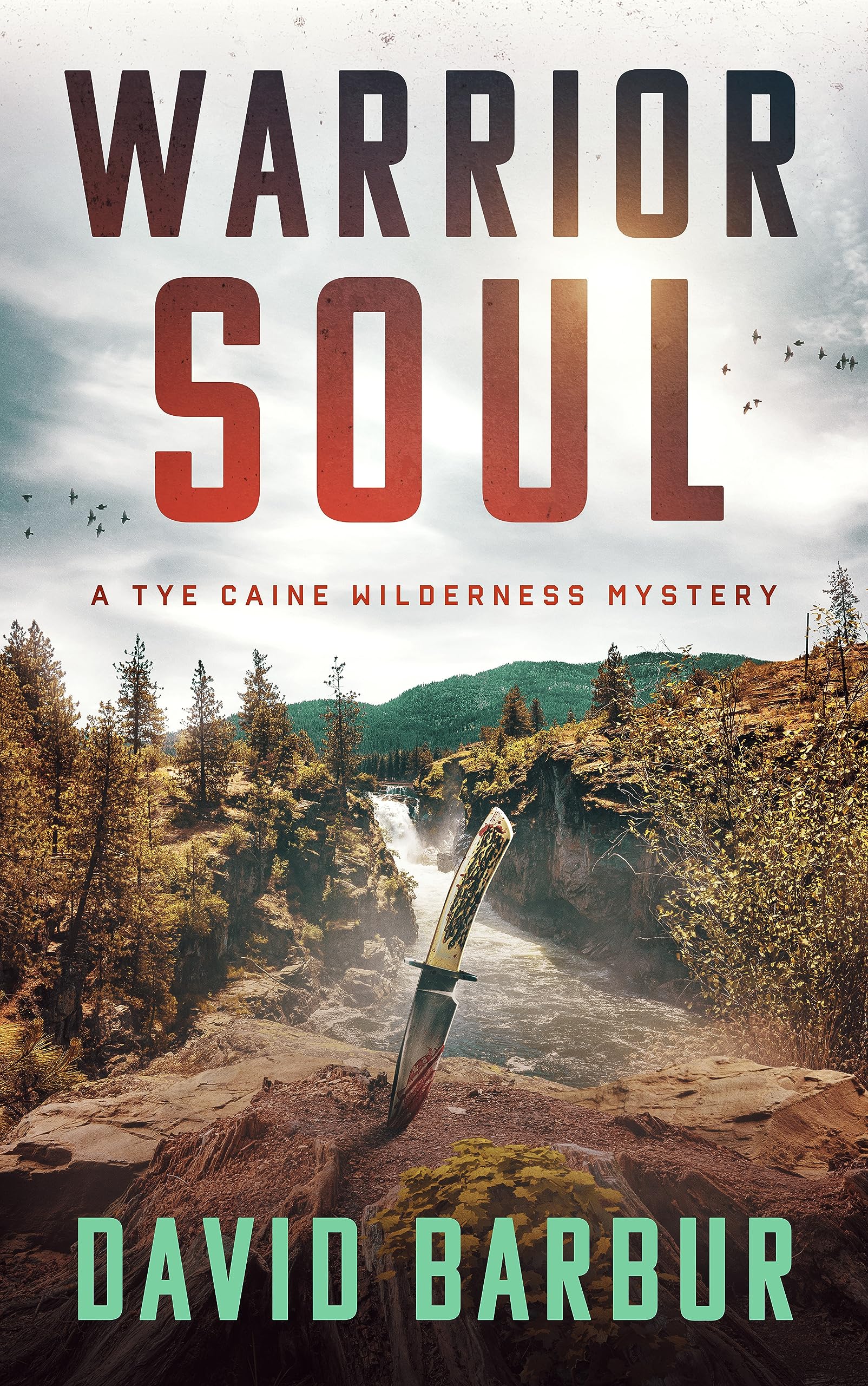 Warrior Soul (Tye Caine Wilderness Mysteries #4)