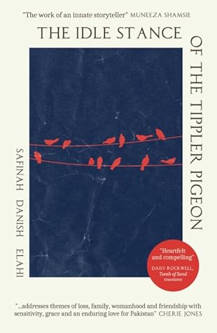 The Idle Stance of the Tippler Pigeon