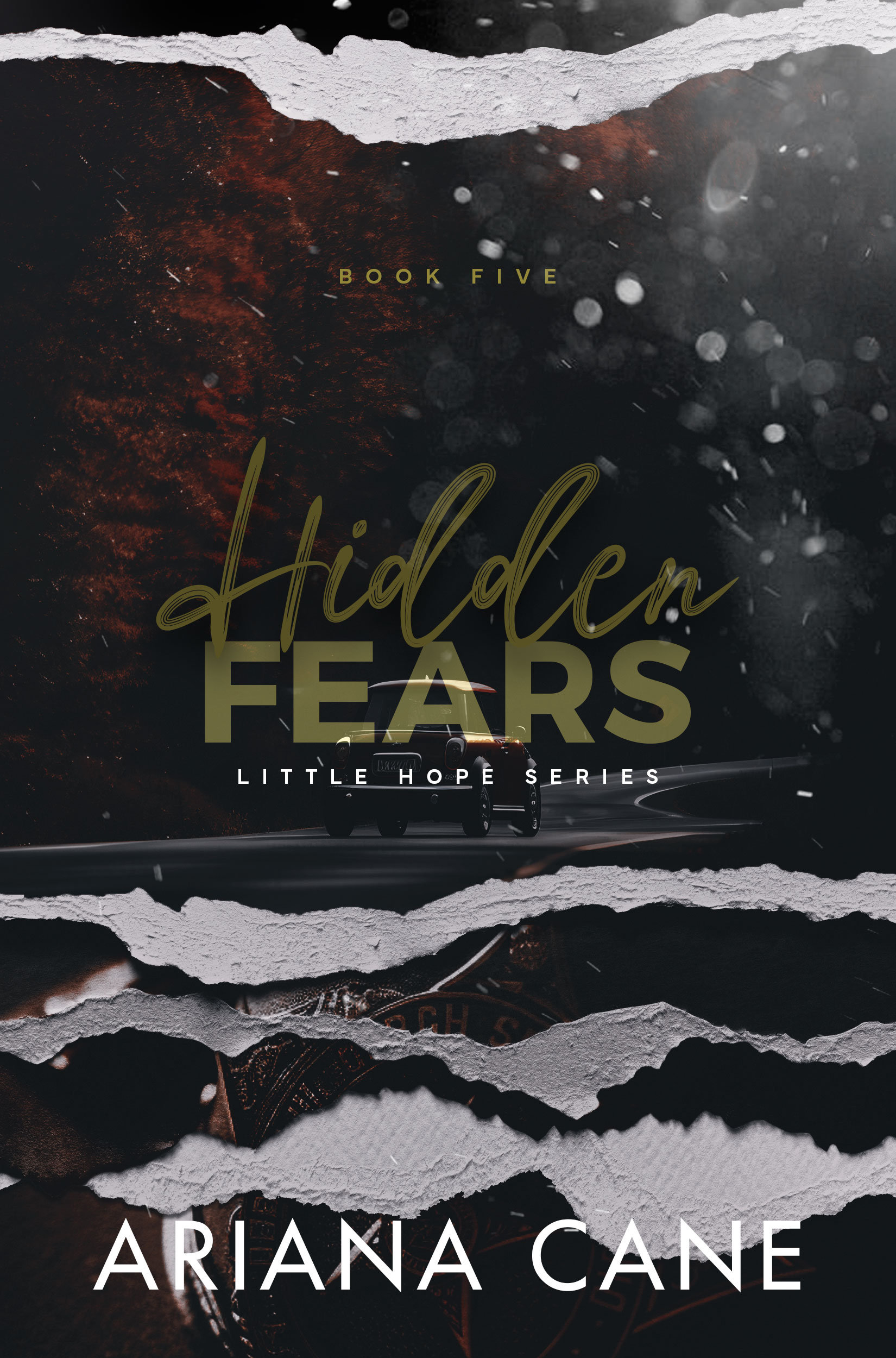 Hidden Fears (Little Hope Series, #5)