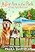 Killer Art in the Park (A Fine Art Mystery, #4) by Paula Darnell