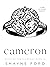 Cameron (Night of the Diamonds #12)