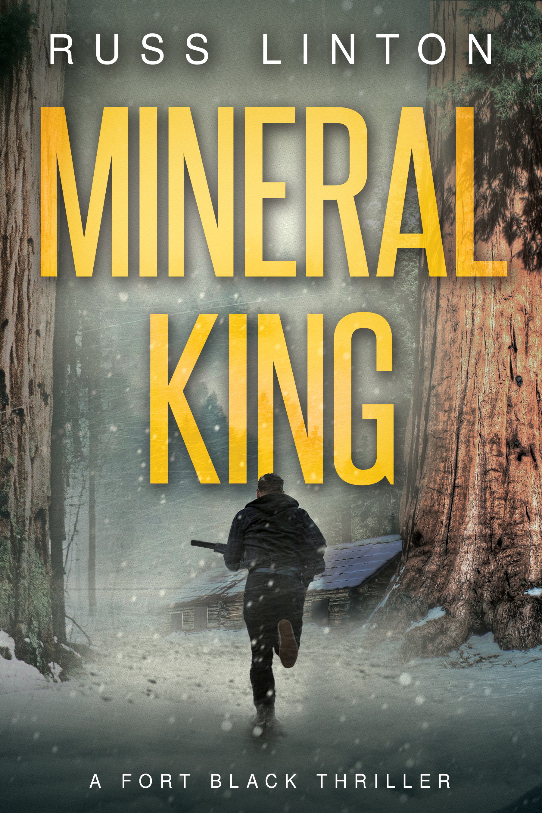 Mineral King (Fort Black Thriller Book 3)