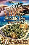 Book cover for Summer Vibes in Paradise Bay: Sanjay & Kwamé