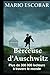 Berceuse d'Auschwitz: La véritable histoire d'Helen Hannemann, une mère qui s'est battue pour sa famille. (French Edition)