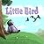 Little Bird