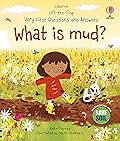 Very First Questions and Answers: What is mud?