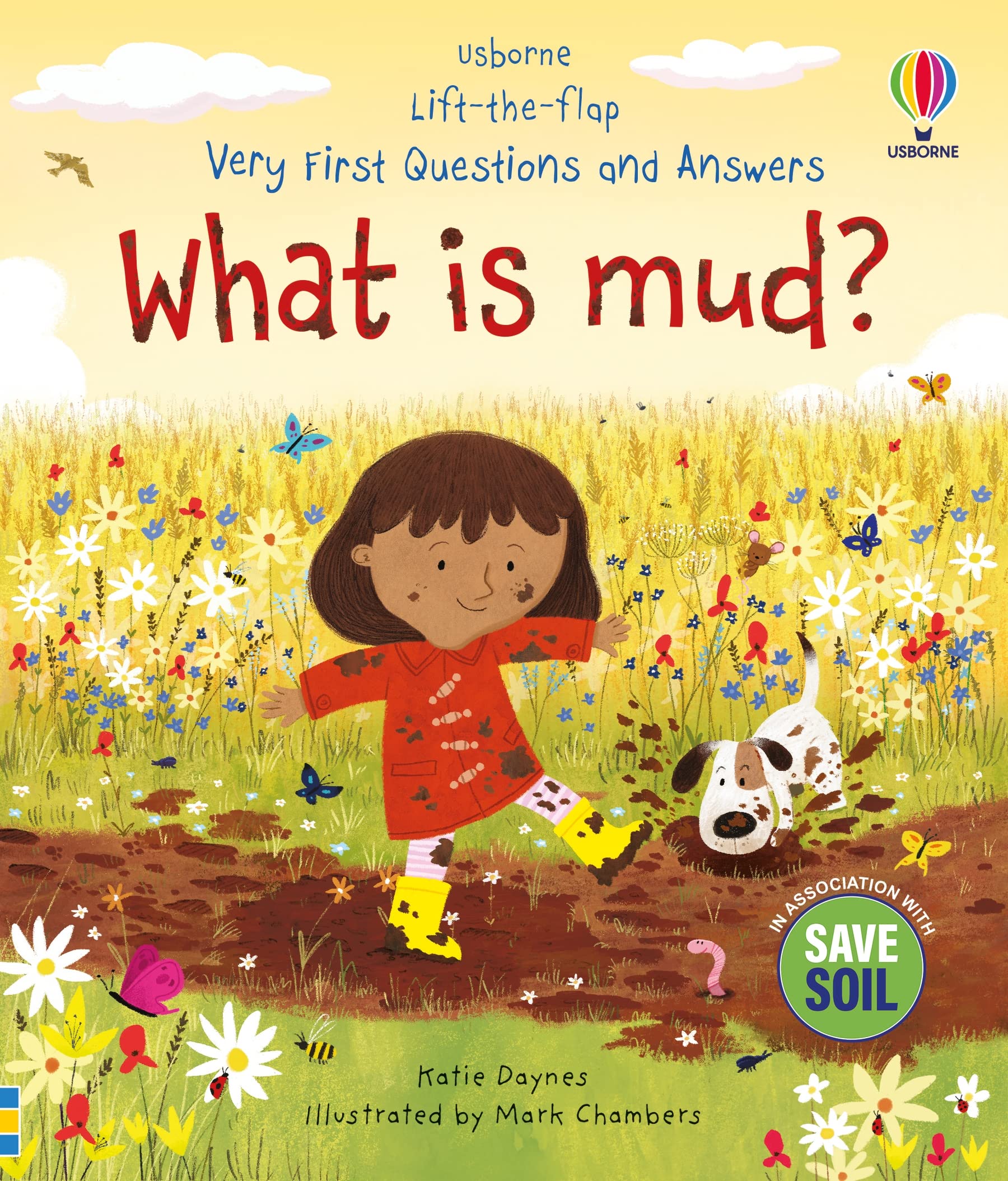 Very First Questions and Answers: What is mud? (Usborne Lift-the-flap)