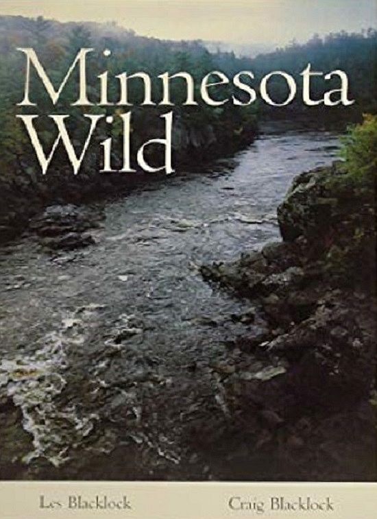 Minnesota Wild
