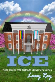 ICE: Year One in the Wobniar University Series