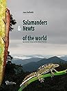 Salamanders & New...