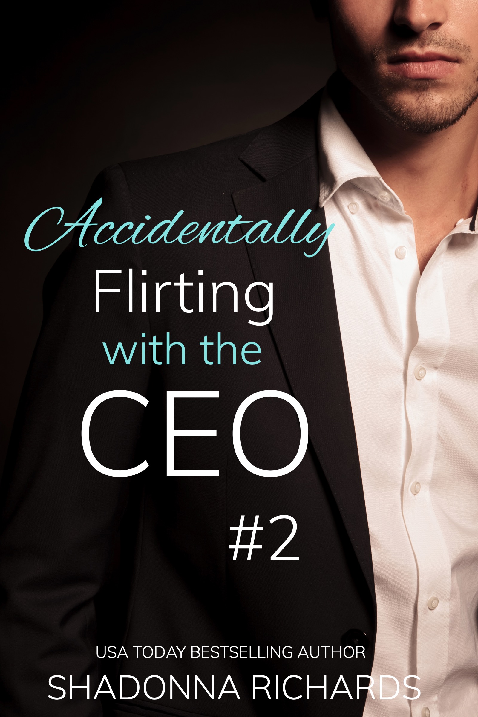 Accidentally Flirting with the CEO 2 (Whirlwind Romance #4)