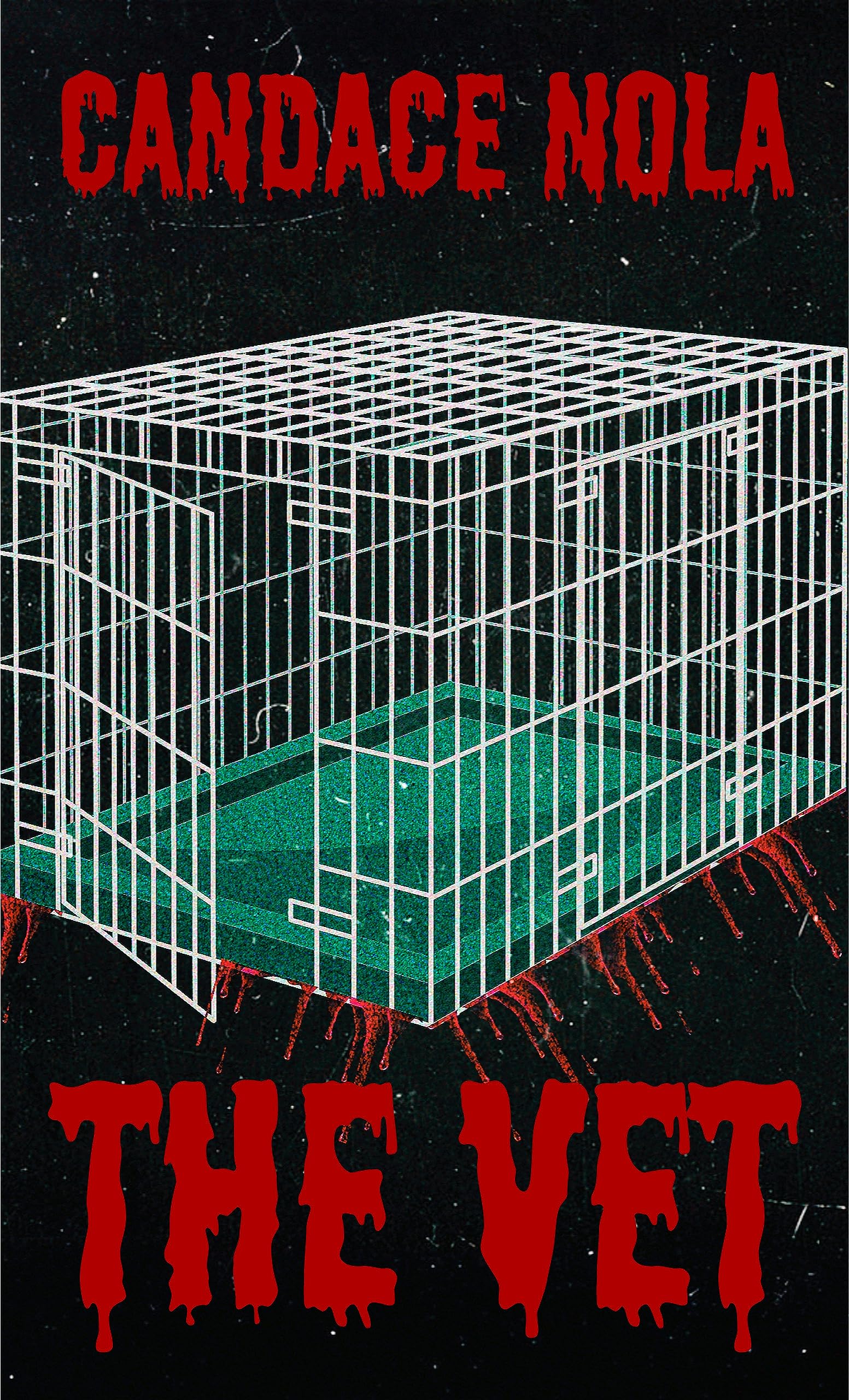 The Vet (Kindle Edition)