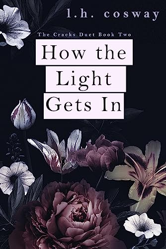 How the Light Gets In (Cracks Duet, #2)