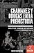 Chamanes y drogas en la Prehistoria (2ª edición) (Spanish Edition)