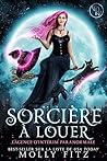 Sorcière à louer (L'agence d'intérim paranormale t. 1) by Molly Fitz