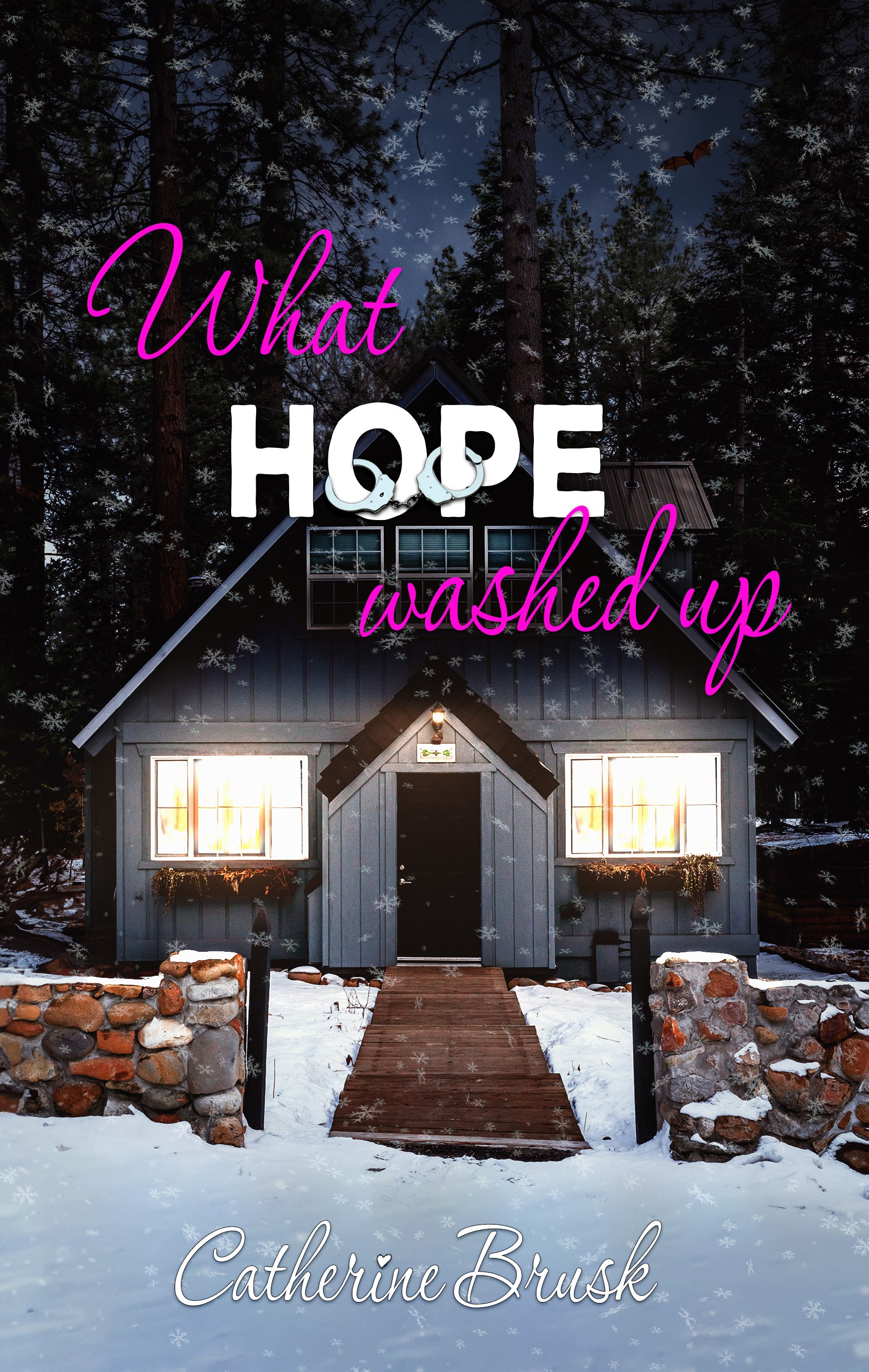 What Hope Washed Up (Finding Faith Book 4)