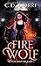 Fire Wolf (Witch Shifter Clan, #1)