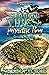 Summer Vibes In Paradise Bay by Sherri Marie Summer Vibes In Paradise Bay by Sherri Marie