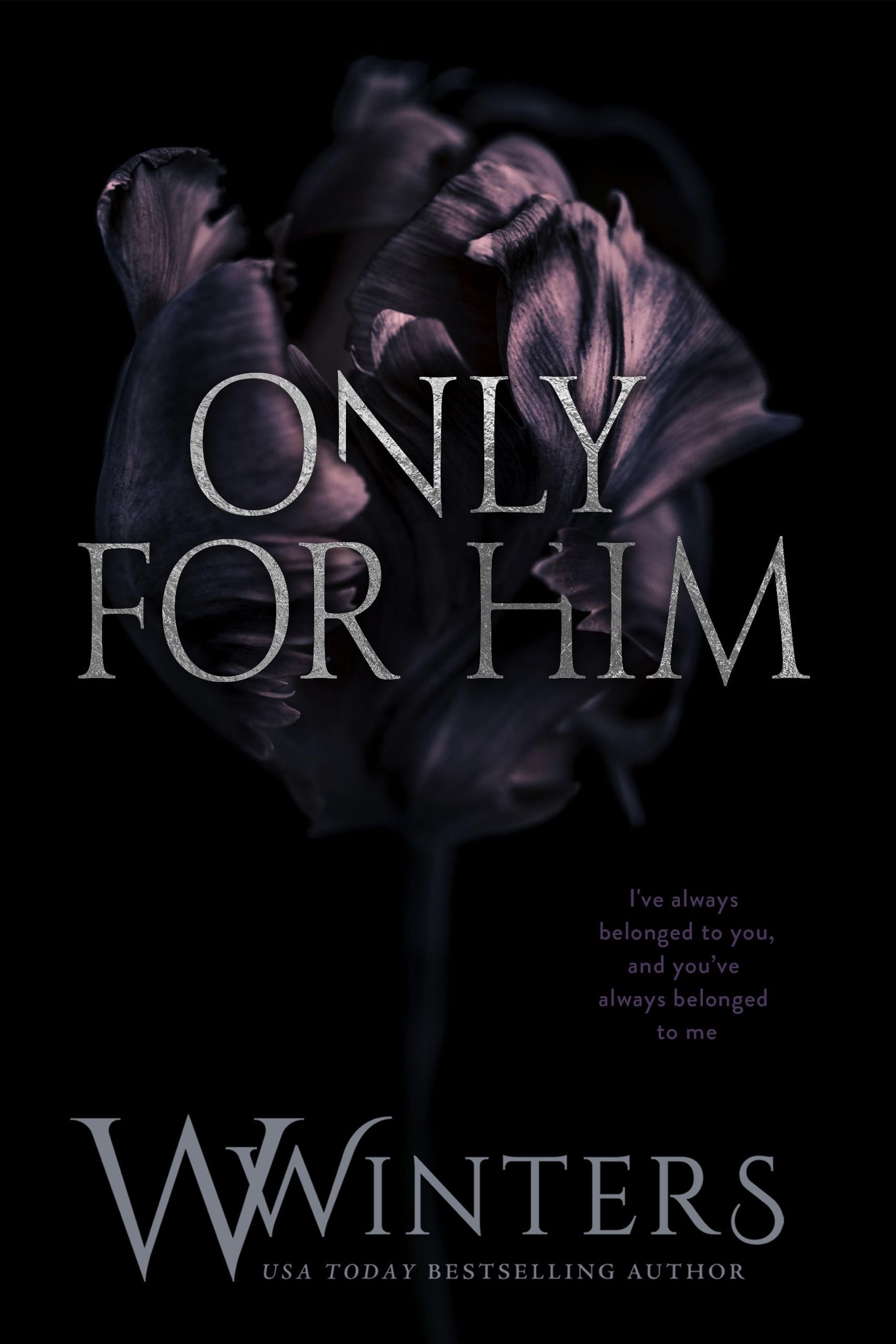 Only for Him (Kindle Edition)