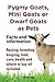 Pygmy Goats, Mini Goats or ...