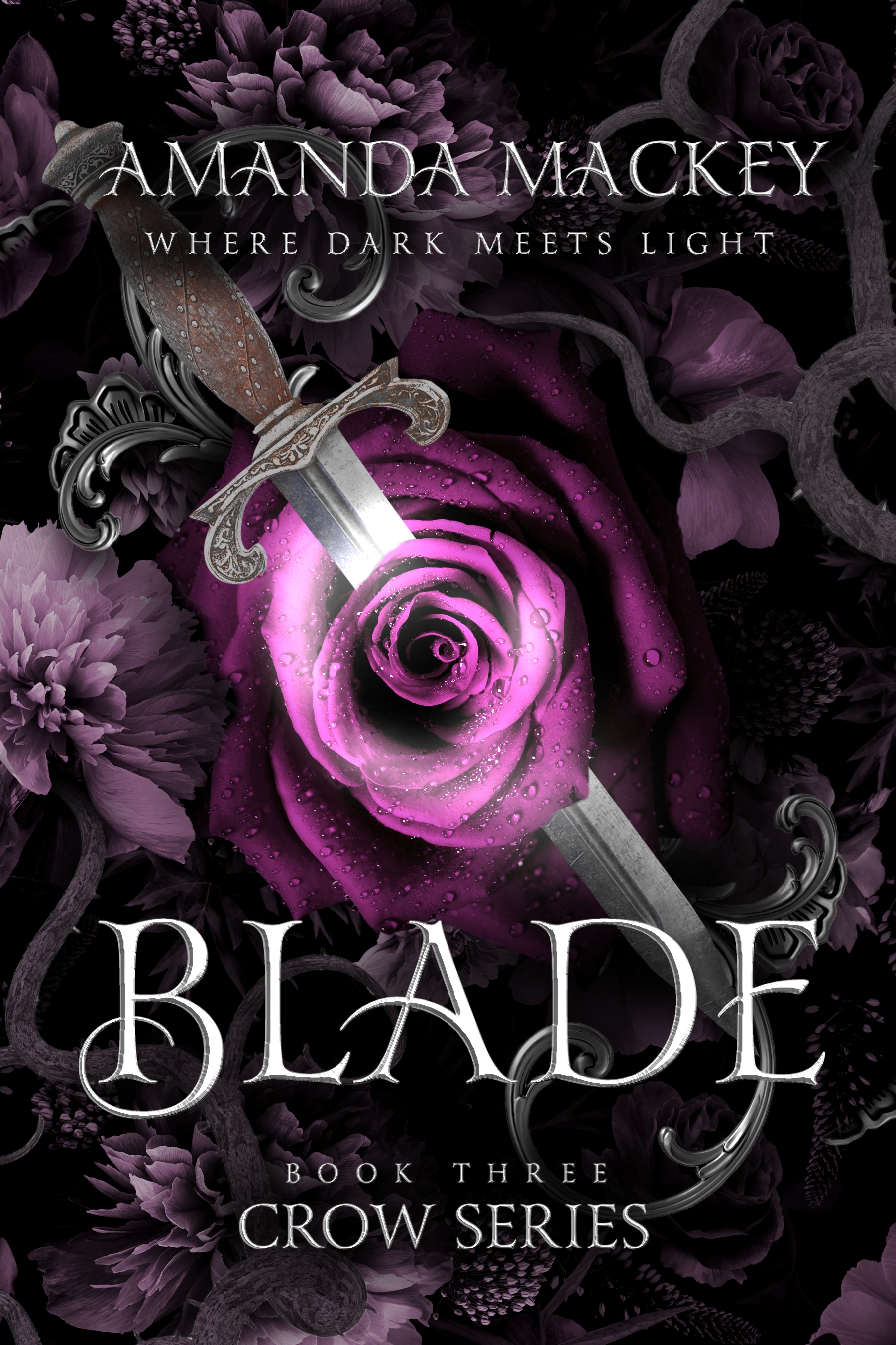 Blade: Book 3 in the Crow series