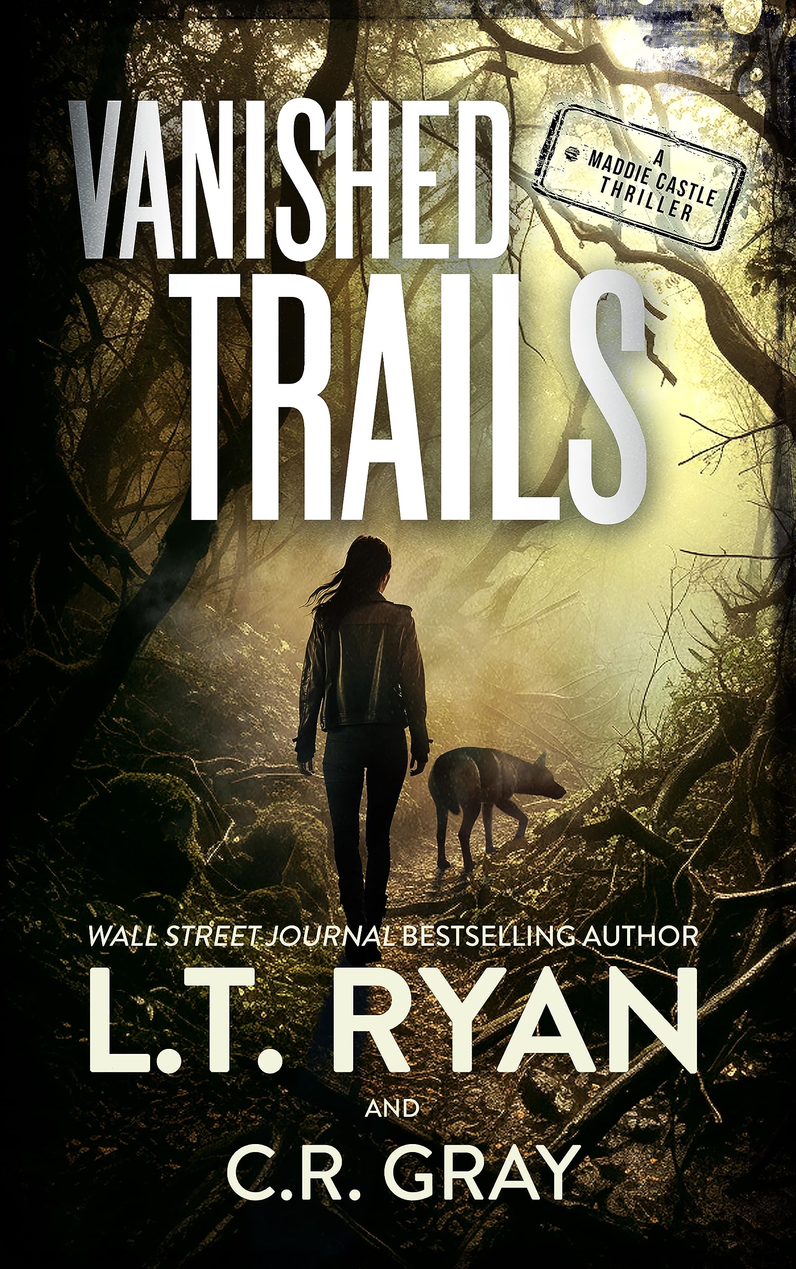 Vanished Trails (Maddie Castle #4)