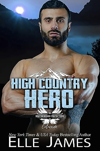 High Country Hero (Brotherhood Protectors: Colorado #12)