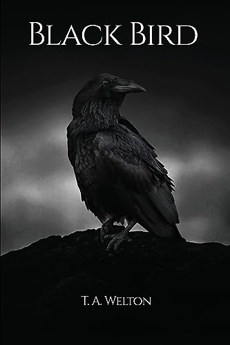 Black Bird (Paperback)