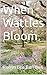 When Wattles Bloom