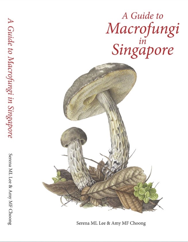 A Guide to Macrofungi in Singapore (Paperback)