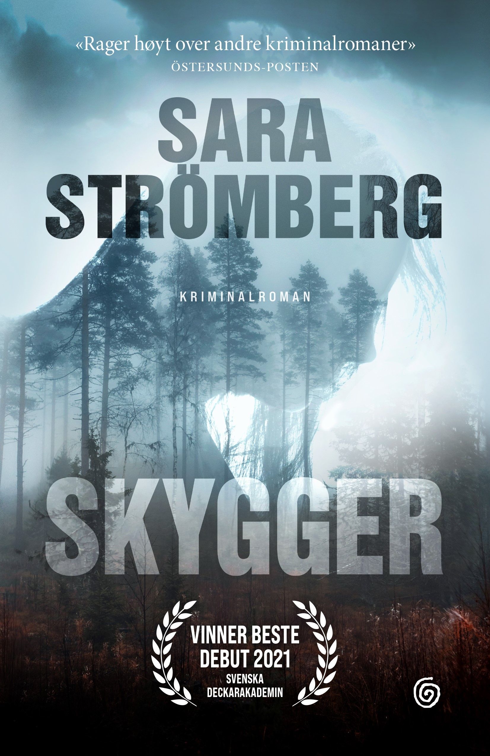 Skygger (Vera Bergström, #1)