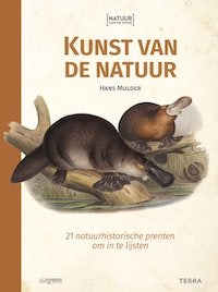 Kunst van de natuur