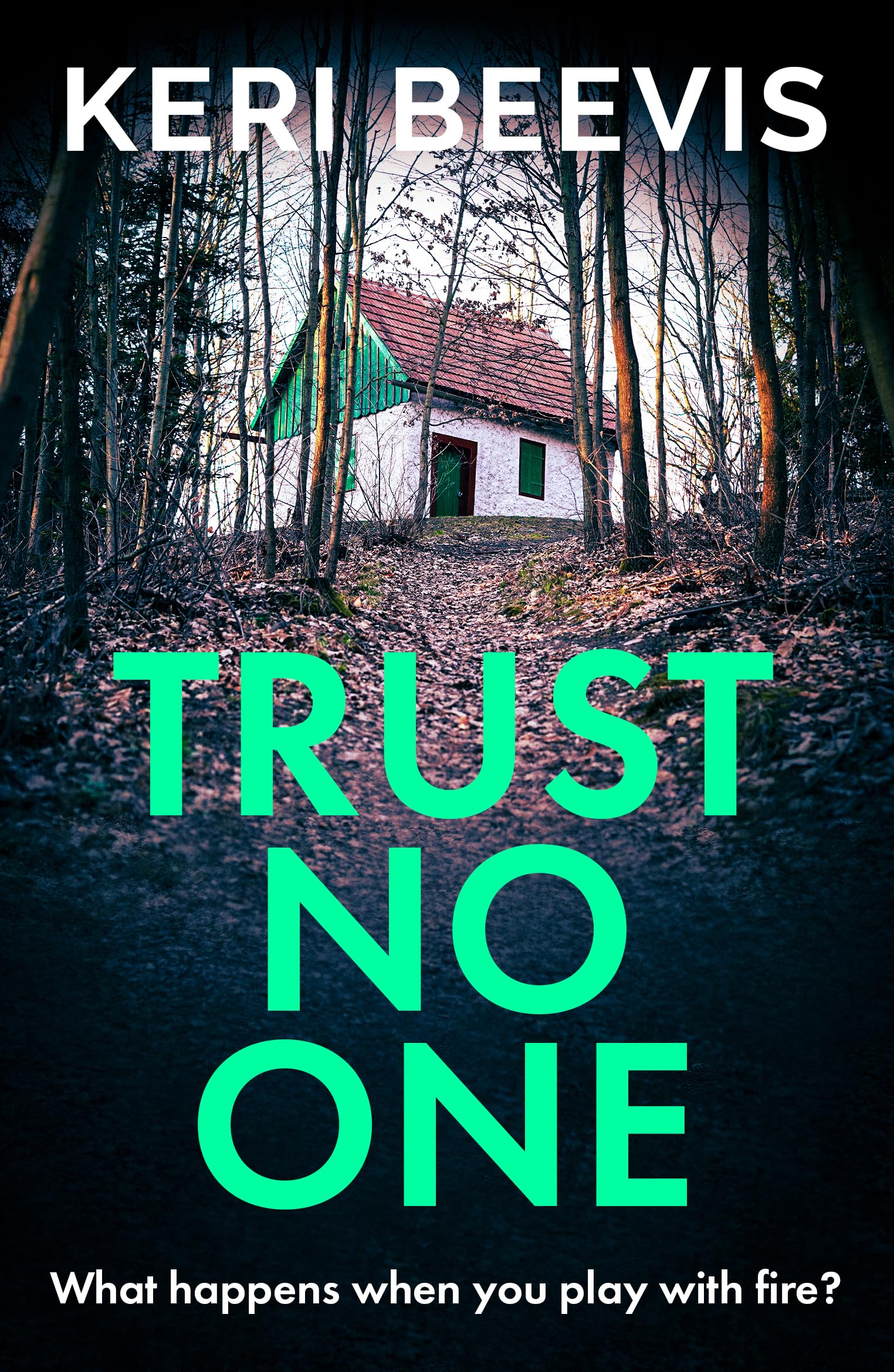 Trust No One (Kindle Edition)