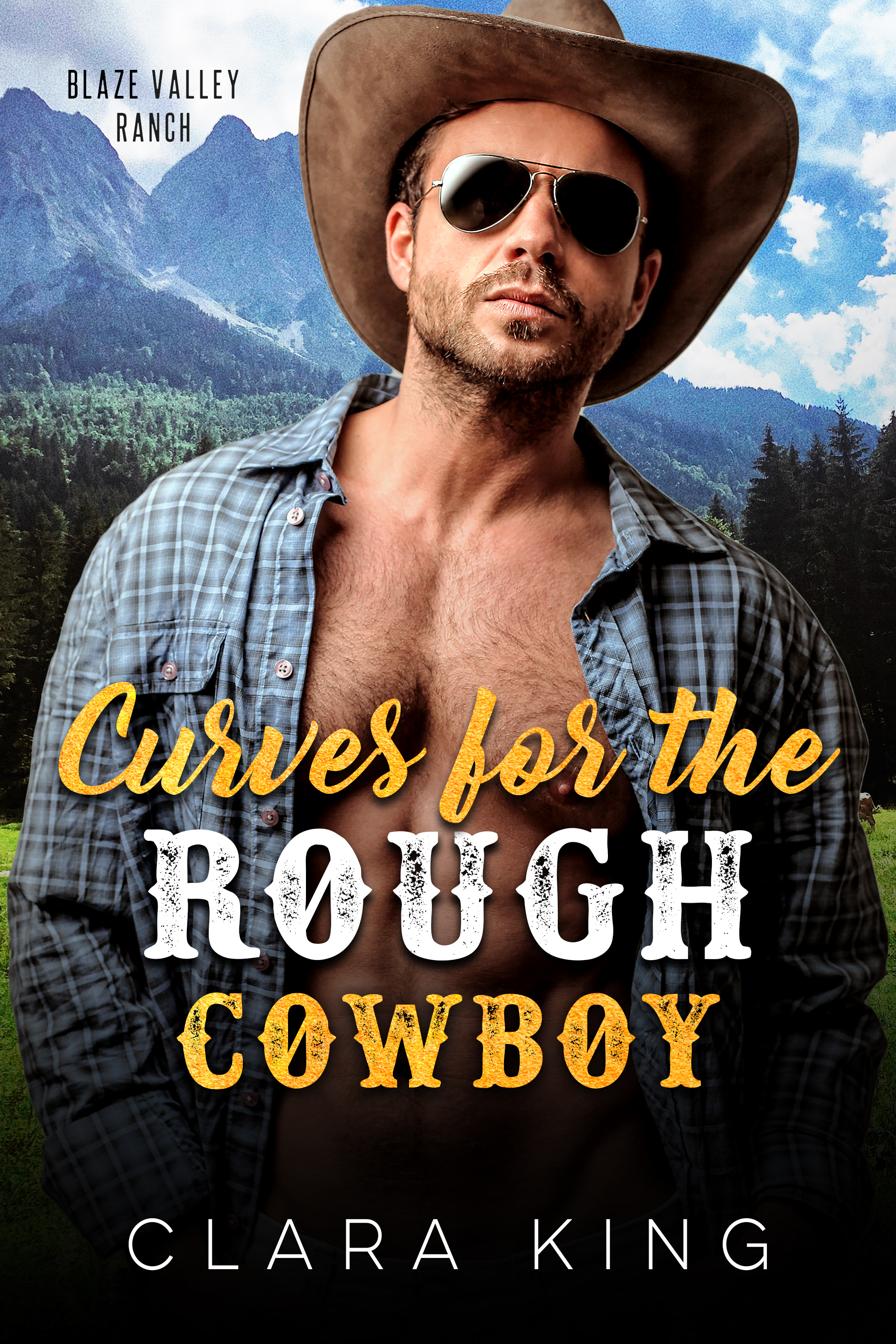 Curves for the Rough Cowboy (Crave County: Blaze Valley Ranch, #2)