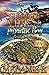 Summer Vibes In Paradise Bay by Melanie B. Summer Vibes In Paradise Bay by Melanie B.