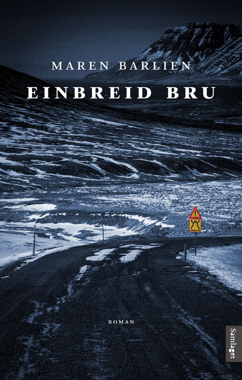 Einbreid Bru (Hardcover)