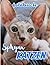Sphynx-Katzen Fotobuch: Bil...