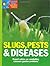 Slugs Pests & Diseases