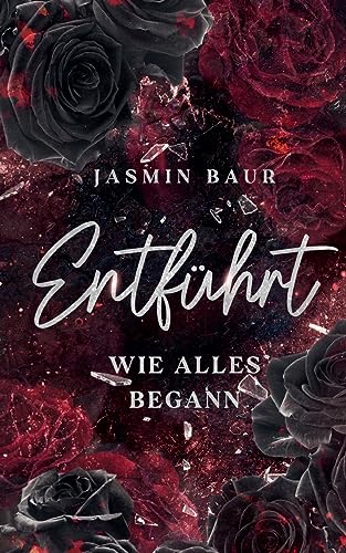 Entführt - Wie alles begann (Paperback)