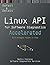 Accelerated Linux API for Software Diagnostics: With Category Theory in View (Linux Internals Supplements)