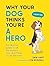 Why Your Dog Thinks You're a Hero by Sam Hart