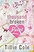 A Thousand Broken Pieces by Tillie Cole