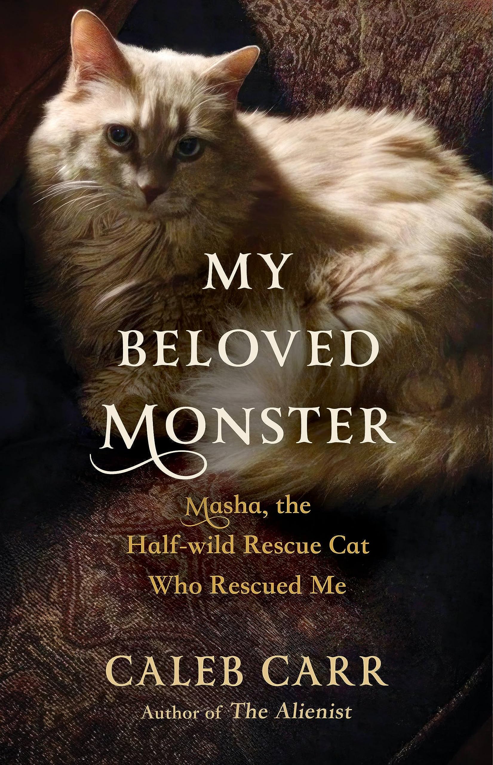 My Beloved Monster: Masha, the Half-wild Rescue Cat Who Rescued Me (Hardcover)