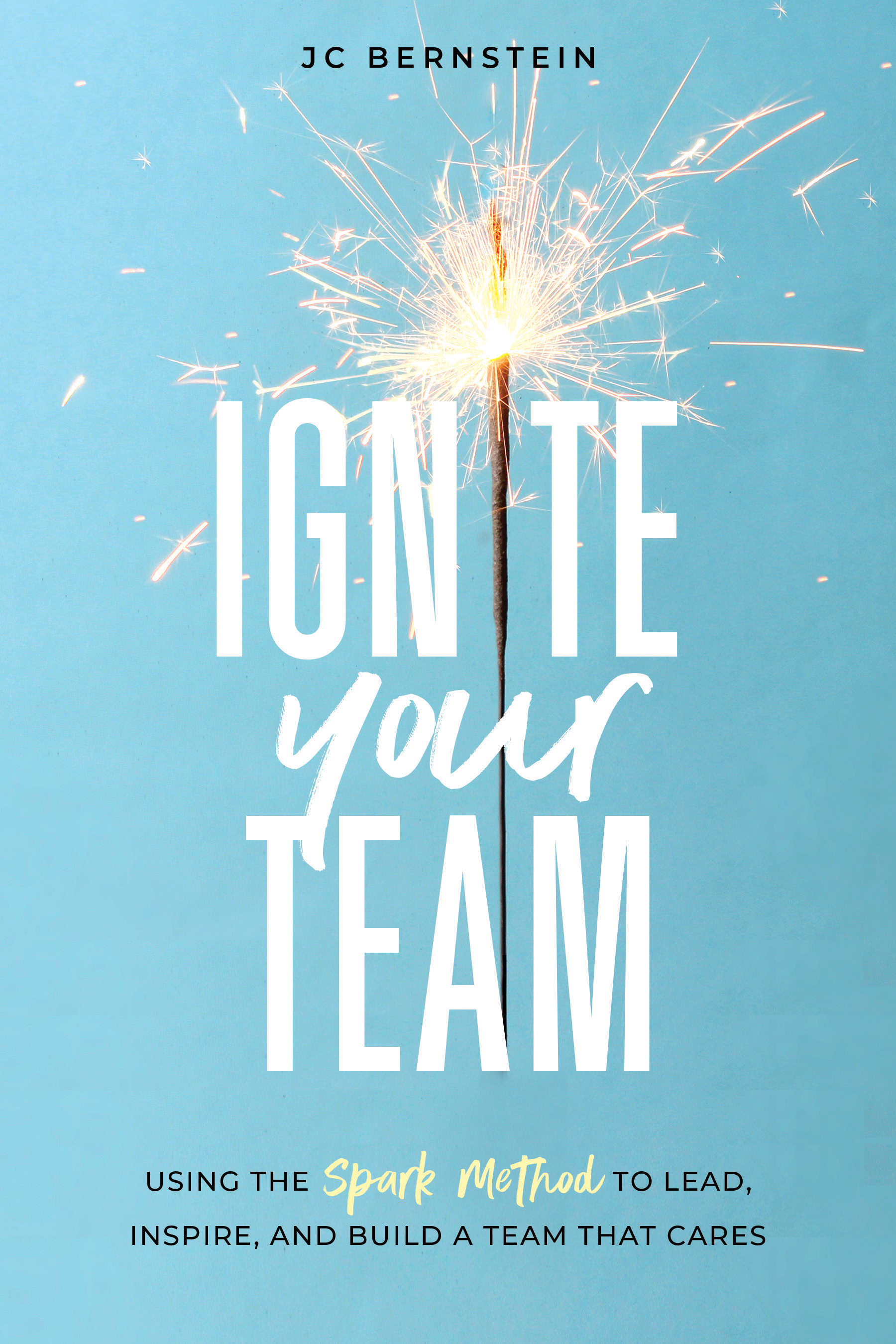 Ignite Your Team: Using the SPARK Method to Lead, Inspire, and Build a Team that Cares (Kindle Edition)