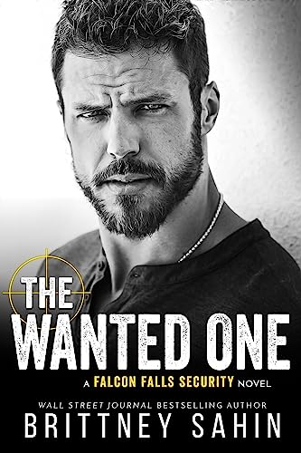 The Wanted One (Falcon Falls Security, #5)
