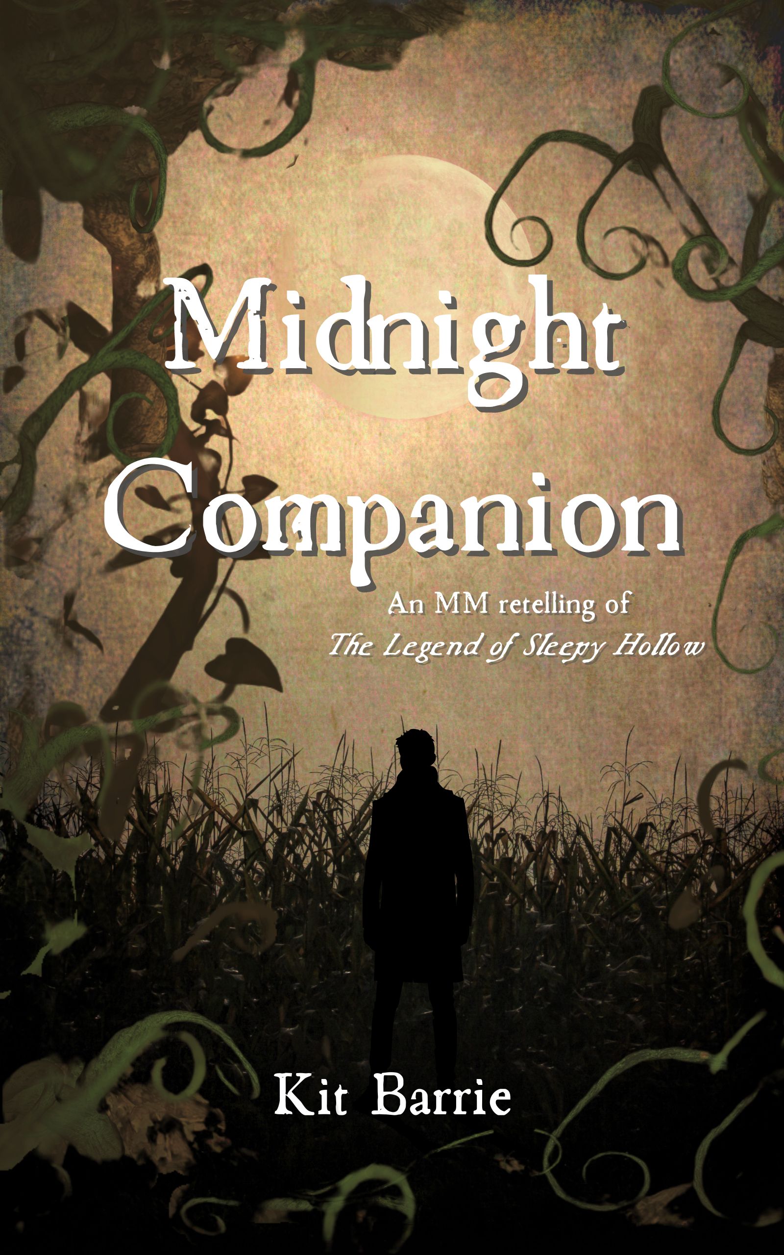 Midnight Companion (Kindle Edition)