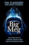 Big Meg: The Stor...