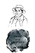 Pride and Prejudice by jane austen