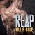 Reap Lib/E (Scarred Souls S...