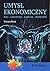 Umysl ekonomiczny. Bog, czlowiek, kapital, poznanie by Waclaw Smid